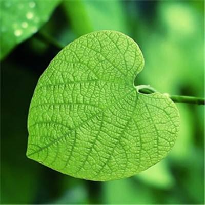 闪电台球战修改版